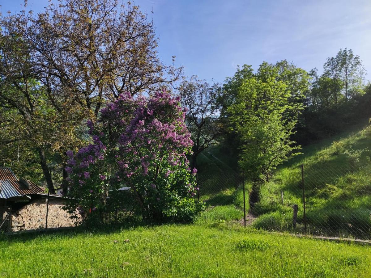 Comme Chez Vous Villa Bayons Exterior foto